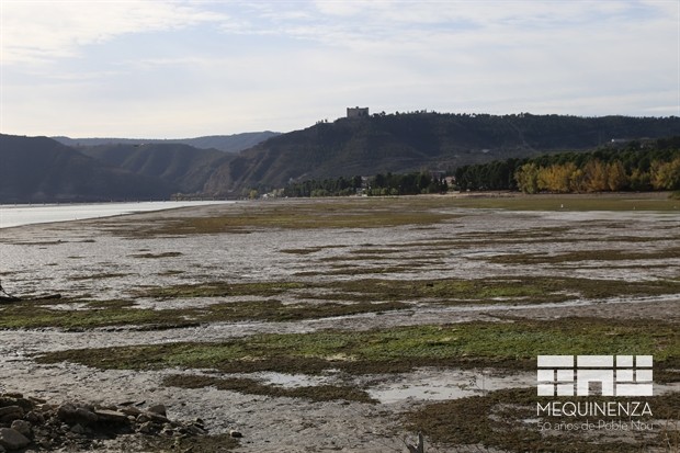 Lodos Segre